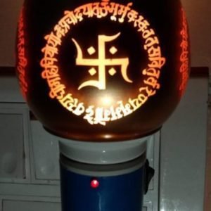 Electric Kapoor Dani