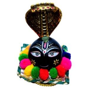 VISHNU SHALIGRAM SHILA VISHUNU GOD SHILA