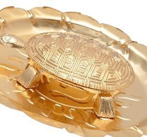 Meru Kachua Tortoise Plate