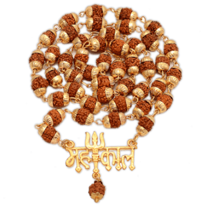 Mahadev Rudraksha Locket with 5 Face Rudraksha Mala