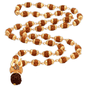 5 Face Rudraksha Mala With Trishul Om Damru Locket