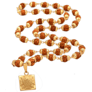 5 Face Rudraksha Mala With Shri Yantra Locket