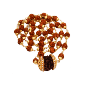 5 Face Rudraksha Locket with5 Face Rudraksha Mala Gold-Plated Brass