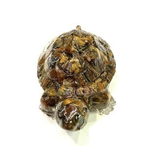 Tiger Eye Tortoise